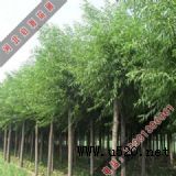 �����h����������(�D)