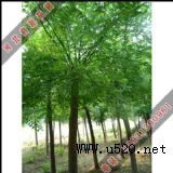 �����A�������ć�����(�D)