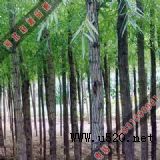 ���L�еĺ���(�D)