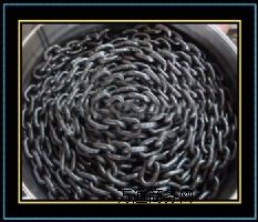 80������朗l/G80����朗l/�S�Ҍ��N