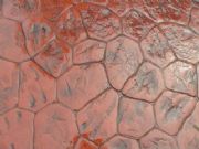 �������݉�����ƺ�ļ��У�ˇ�g��ӡ��ƺ�S��