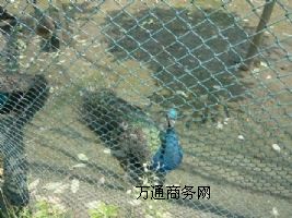 ���ҿ����ϴ��ȸ�Bֳ�����{��ȸ��������