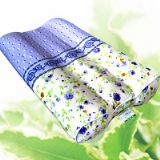 �w����������