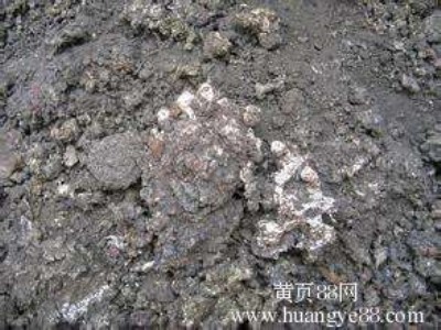 ����̎������