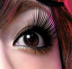 �����I�C��ë��Ӗ�W��