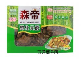 Ȫ��ɭ�ۖ|���خaҰ��ԪĢ