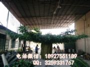 �߷·����Ř䡢�c�����^�҃ȷ����Ř�ӆ�� ����ֲ�ﾰ�^