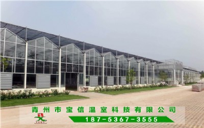 �B����������