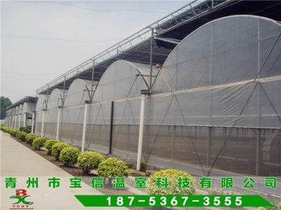 �ߙn�����B������