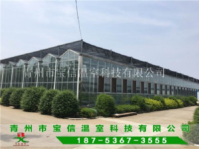 �������һ���