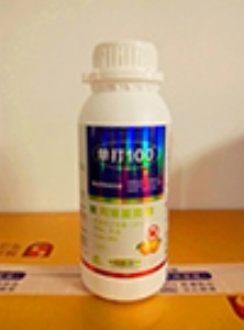 �����Ӽt֩��ĮaƷ���Ӽt֩�뚢�������Ӽt֩��ˎ