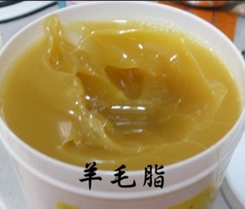 �������򡿟oˮ��ë֬