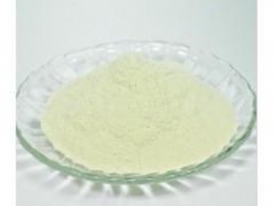 ţѪ��׵���