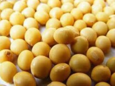 ������40%������ȡ��