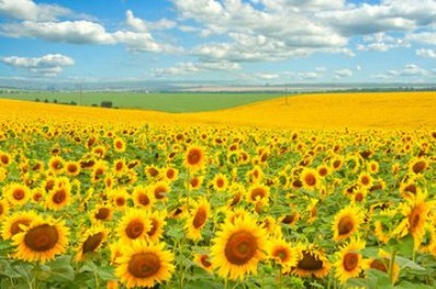 ��Ոiso9001�J(r��n)�C�ėl��