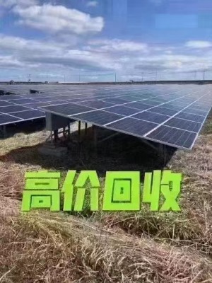 2023��ͥ����վ��ݗ���?