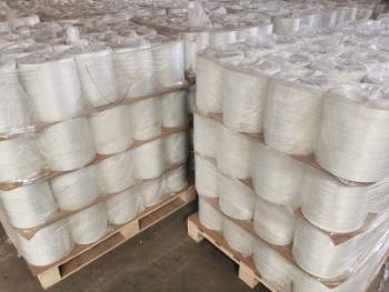 �ӱ������w�S�����ӱ������w�S���������ӱ������w�S�p�@��