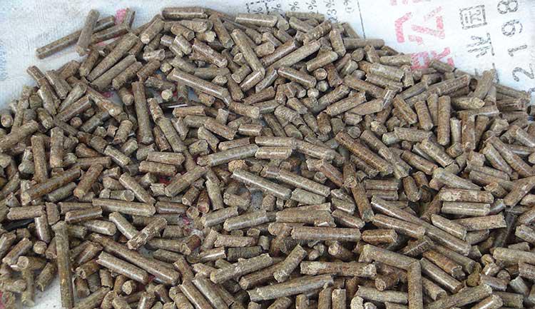 �����w���C