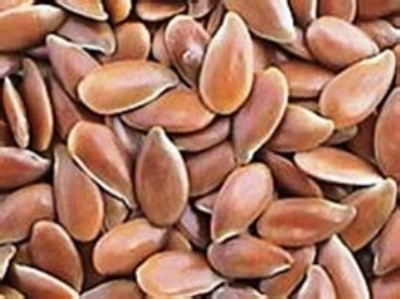 �M�ځ������ⶐ���l