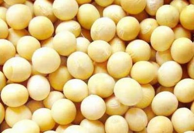 �M���S���ⶐ�N��