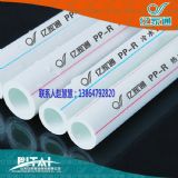 �S�ҹ���(y��ng)ppr�҃�(n��i)���ˮ��