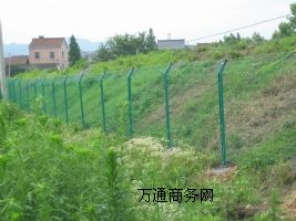 �����o�ھW(w��ng)/���S���ھW(w��ng)