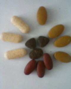 ��Nֲ���ζ��Ƭ���ǹ���Ƭ�ӹ���OEM�ӹ�