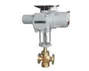 ZAZN����늄��{���y