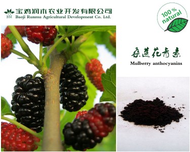 ɣ����ȡ��25�������ؚW��