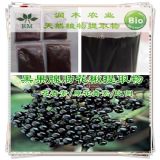 �ڹ����߻����ȡ��