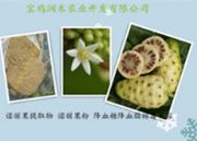 �Z������ �Z������ȡ��