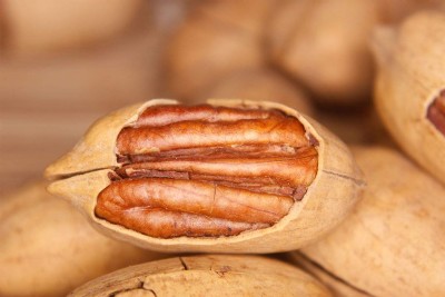 �V�ݱ̸����M����Щ��˾���Դ������P���P