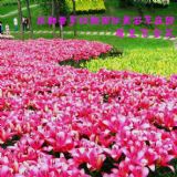 ���mԭ�b�M�ڰٺϷN��