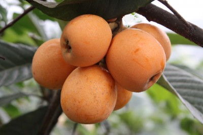 �V����Ʒ�N������a�����V���������������Ʒ�N���������l