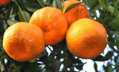 �Ĵ��̽ۘ�����أ��Ĵ��̽ۘ���r��