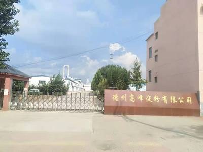 ���ݸ߷�������޹�˾