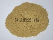 ����(y��ng)�����ᵰ�����