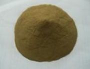 ɽ�|�I�ݏS�ҹ���ζ���������