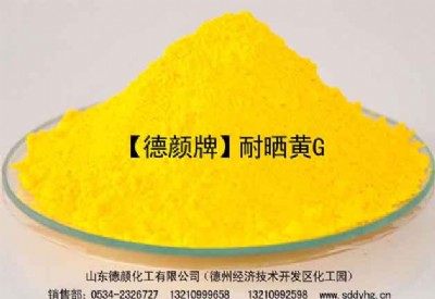 �͕��SG-������ЙC��Ϲ���