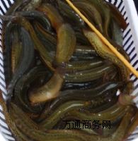 �������q��r��