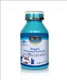 �{(l��n)ñ�}���ӹ��N�Ƽӹ�