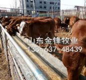 ����(n��i)��ţ�r(ji��)�� ���T������ţ�ٽ��Ո�(b��o)�r(ji��)