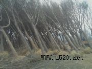 16g���և����r��