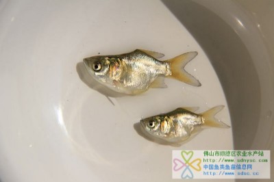 �s�ǻ����~�硢�s�Ǵ��^