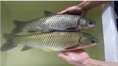 ���������~