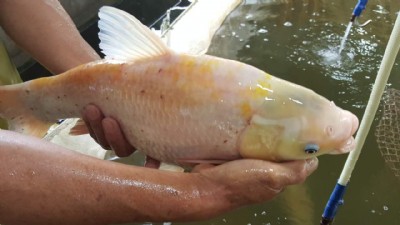 �L�ڹ�����z����Ʒ������~��Ʒ�~����z����Ʒ�~