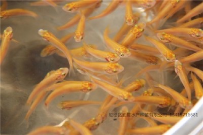 �����S����~��