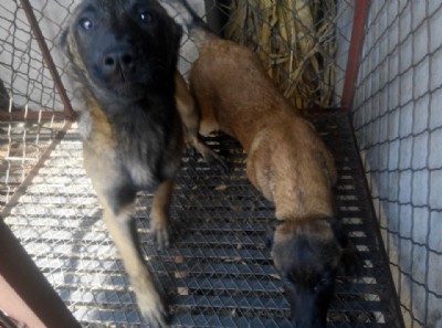 ���I�RȮ�Bֳ�������N�RȮӖ������