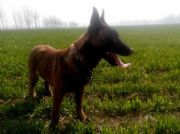 ���RȮ�t�RȮ�����Xһֻ�RȮ����