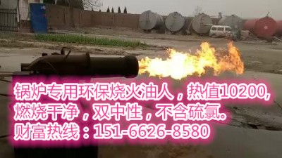 �ʝɳ��䮔�حh��偠t������ȼ���Ƀ��o��ζ